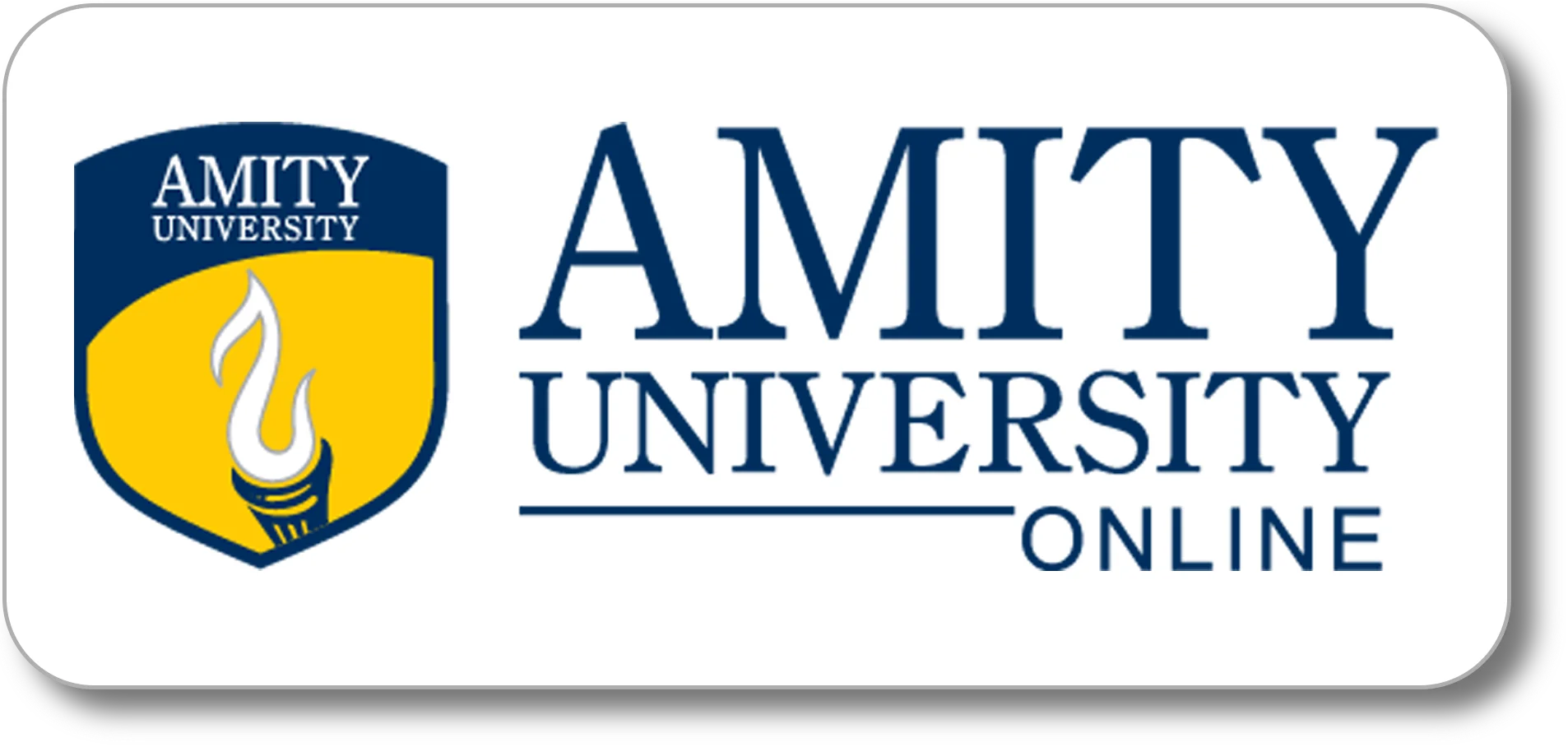 Amity University Online